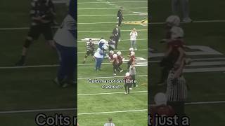 The Colts mascot is a CRASHOUT🤣🔥 youtubeshorts footballshorts football americanfootball [upl. by Henryetta]