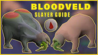 Mutated Bloodveld Melee Slayer Guide OSRS [upl. by Nooj7]