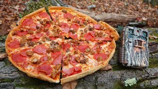 What Happens to a PIZZA Left in the Woods Trail Camera [upl. by Llennor]