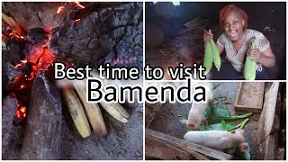 Bamenda Cameroon  Now is the best time to visit Bamenda  My holiday in Bamenda 🇨🇲 [upl. by Adnohsor]