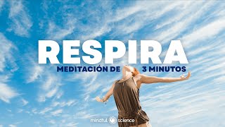 Simplemente RESPIRA Mindfulness Meditación 3 minutos [upl. by Adnilym]