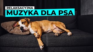 Muzyka relaksacyjna dla psa vol1 [upl. by Frerichs583]