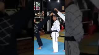 TAEKWONDO  Mestre Wilson Pontes taekwondo tkd shorts viral viralvideo lutas martialarts [upl. by Padraig299]