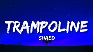 Shaed  Trampoline Lyrics [upl. by Denys119]