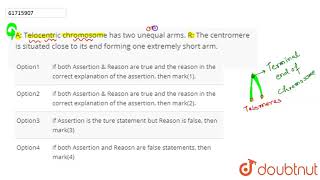 A Telocentric chromosome has two unequal armsltBRgt The centr [upl. by Enihpesoj]