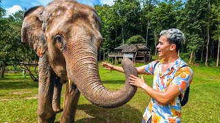 Así es vivir con ELEFANTES en Tailandia 🐘 [upl. by Sheryle944]