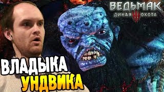 Ведьмак 3 Прохождение ► ВЛАДЫКА УНДВИКА ◄ 45 [upl. by Mulderig]