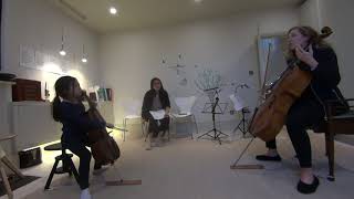 Lesson on Suzuki Cello Book 1 [upl. by Vange174]