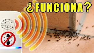 ¿Funcionan los antihormigas eléctricos  Experimentos con Mike [upl. by Ilojne]