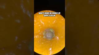 Super closeup inside an orange 🍊 [upl. by Negeam]