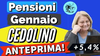 PENSIONI 👉 ANTEPRIMA CEDOLINO GENNAIO CON AUMENTI e altro❗️Ecco cosa conterrà [upl. by Nnalyrehs457]