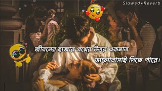 Sedin Dekha Hoyechilo  bangali lofi sad song [upl. by Adnotal]