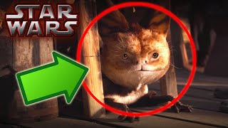 LOTHCATS Canon  Star Wars Explained [upl. by Enawyd]