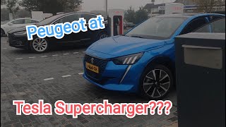 Peugeot e208 charging at Tesla Supercharger [upl. by Wilen]