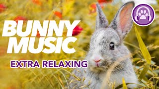 Music for Rabbits to Make Them Happy  SOOTHE ANXIETY 🐰 [upl. by Tyika]