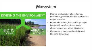 Naturfag  Økologi økosystemer og bærekraftig utvikling [upl. by Omrellig854]