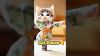 Cat Funny DanceSubscribe plz🙏😾🥰shorts cat catvideos pets catlover [upl. by Innaig]