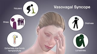 What is Vasovagal Syncope  Dr David P Rapaport NYC [upl. by Epoillac]