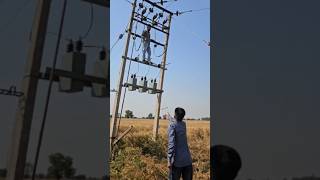 work skill on hight l lineman workviral trending ytshorts lineman [upl. by Peedus]