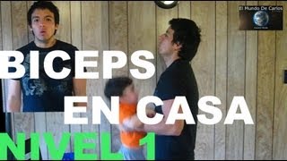 Ejercicios Para los Brazos en Casa  Biceps [upl. by Hsirrehc]