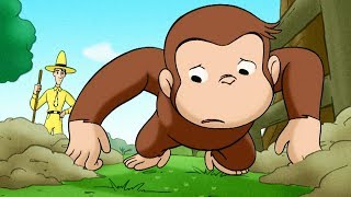 Jorge el Curioso en Español 🐵 Ardilla por un Día 🐵 Mono Jorge 🐵 Caricaturas para Niños [upl. by Neri179]