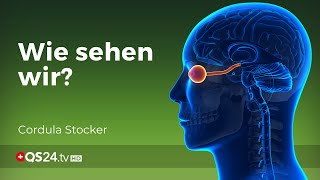 Das Auge So funktioniert Sehen  Augenoptikerin Cordula Stocker  Naturmedizin  QS24 [upl. by Bryon]