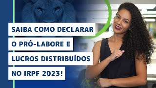 Saiba como declarar o PRÓLABORE NO IRPF 2023 [upl. by Aryas]