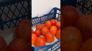 tasty food tarif cooking хурма persimmon recipe easyrecipe sweet yemek tatlı cook eat [upl. by Irec]