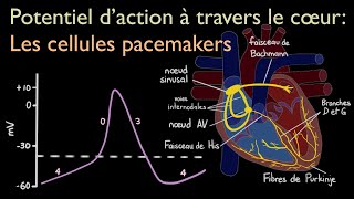 ECG Interpretation  Generation [upl. by Leid]