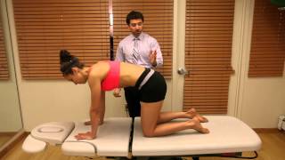 Clinician Education How To Teach Multifidus Progressions  Progression 1 [upl. by Sela]