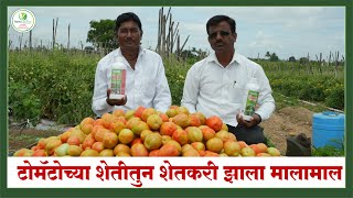 टोमॅटोच्या शेतीतुन शेतकरी झाला मालामाल  Rama Agrotech [upl. by Mort]