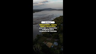 Deforestación minería ilegal y narcotráfico acorralan a resguardos indígenas de Colombia [upl. by Arhat1]