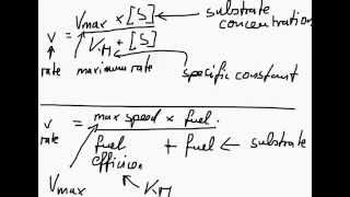 Understanding the Michaelis Menten equation [upl. by Sekoorb66]