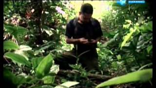 Fuga de las FARC Documental [upl. by Ztnahc923]