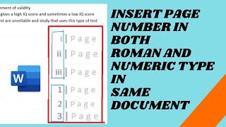 Insert Roman amp English Page Numbers in MS Word [upl. by Akila775]