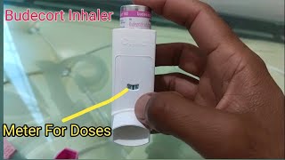 Budecort Inhaler Uses  How to Use Budecort Inhaler  Budecort Pump for Asthma [upl. by Apps]