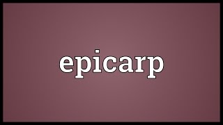 Epicarp Meaning [upl. by Dyob]