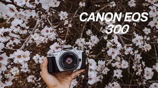 Canon EOS 300  The Amazing Film Camera Youve Never Heard of [upl. by Far]