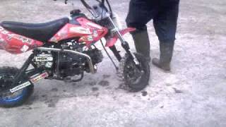 Madness 110cc pit bike [upl. by Benn478]