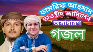 তাসরিফ আহমাদ তাওহীদ জামিলের অসাধারণ গজল Tashrif Ahmed Tawhid jameel gojolforyou [upl. by Ethelda]