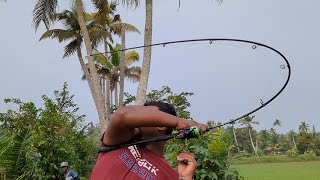 ചൂണ്ട ഒടിക്കുന്ന മീനുകൾ ഉള്ള സ്ഥലം  IFIF  fishingmalayalam [upl. by Fachini]