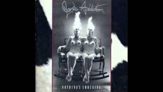 Janes Addiction Ted Just Admit It [upl. by Fara]