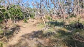 Yellow Trail has Pine Trees Live Oaks amp Saw Palmetto at Econlockhatchee Sandhills Conservation Area [upl. by Colvert]