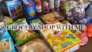 GROCERY SHOP WITH ME  low income mom [upl. by Demp]