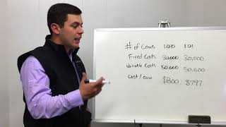 Whiteboard Chat Cow Herd Profitability [upl. by Arhna]