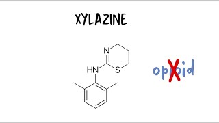 Xylazine 101 [upl. by Horne]