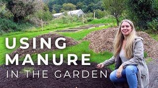 Using Manure in the Garden and why its the best compost [upl. by Ertsevlis]