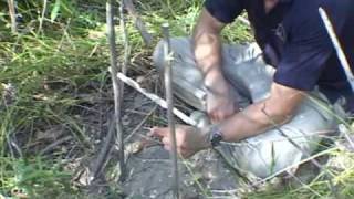 How to make a primitive trap the tbar snare wilderness survival traps [upl. by Dettmer965]