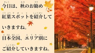 20 Minutes Japanese Listening Best places to see autumn leaves in different areas of Japan [upl. by Rubina]