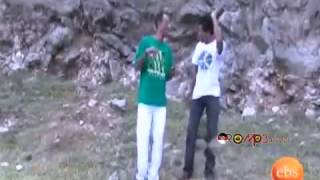 Wendwosen Mekonnen  Beshenena New Oromo Music 2013 [upl. by Atiuqrehs]